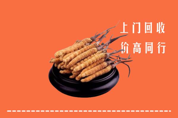 高价求购：君山区回收散虫草
