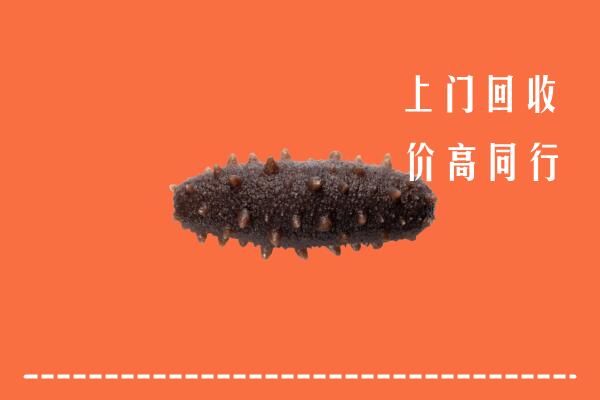 高价求购：君山区回收海参